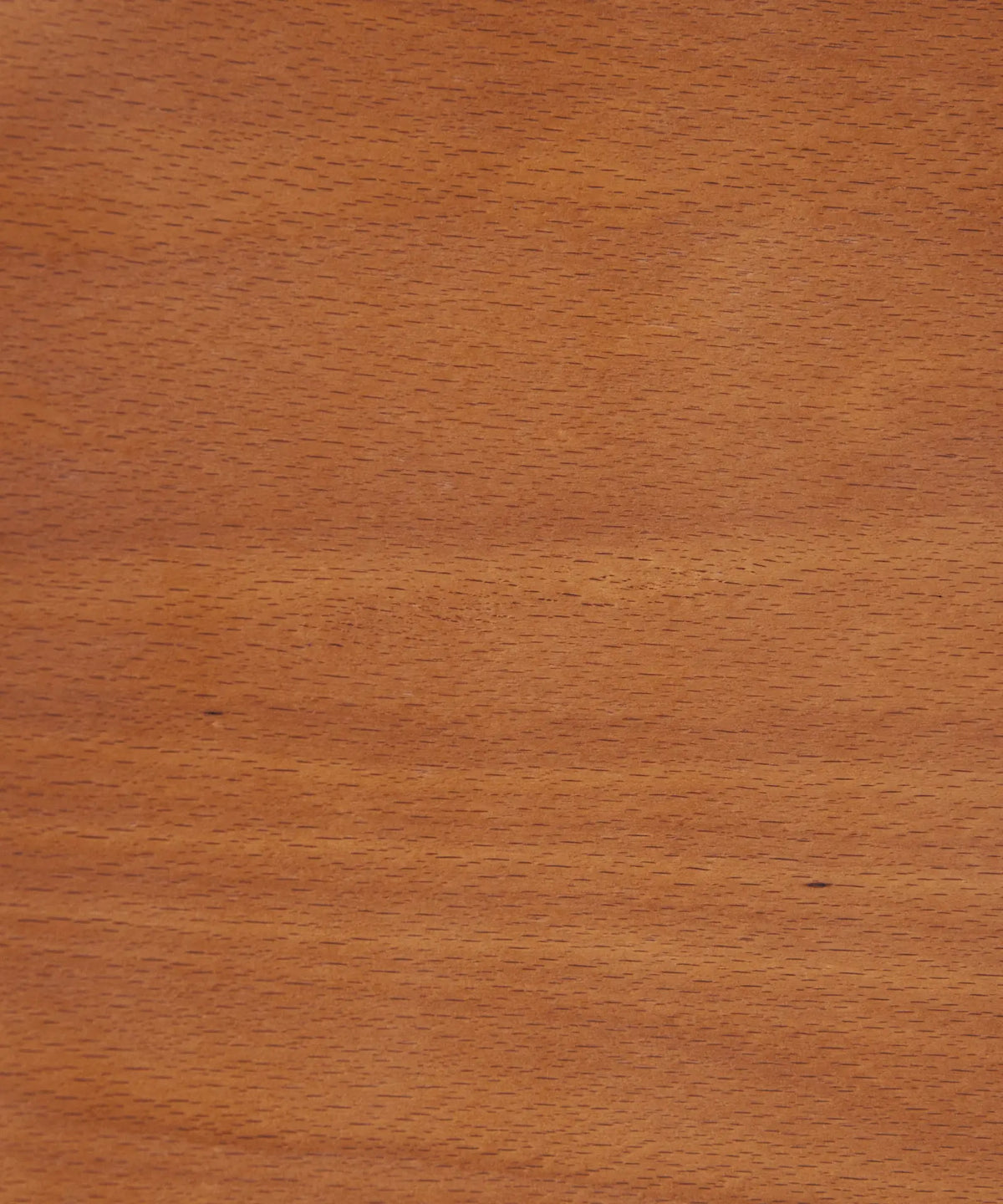 56200707604866 Silla de Comedor en Madera Alara Sillas de Madera Northdeco