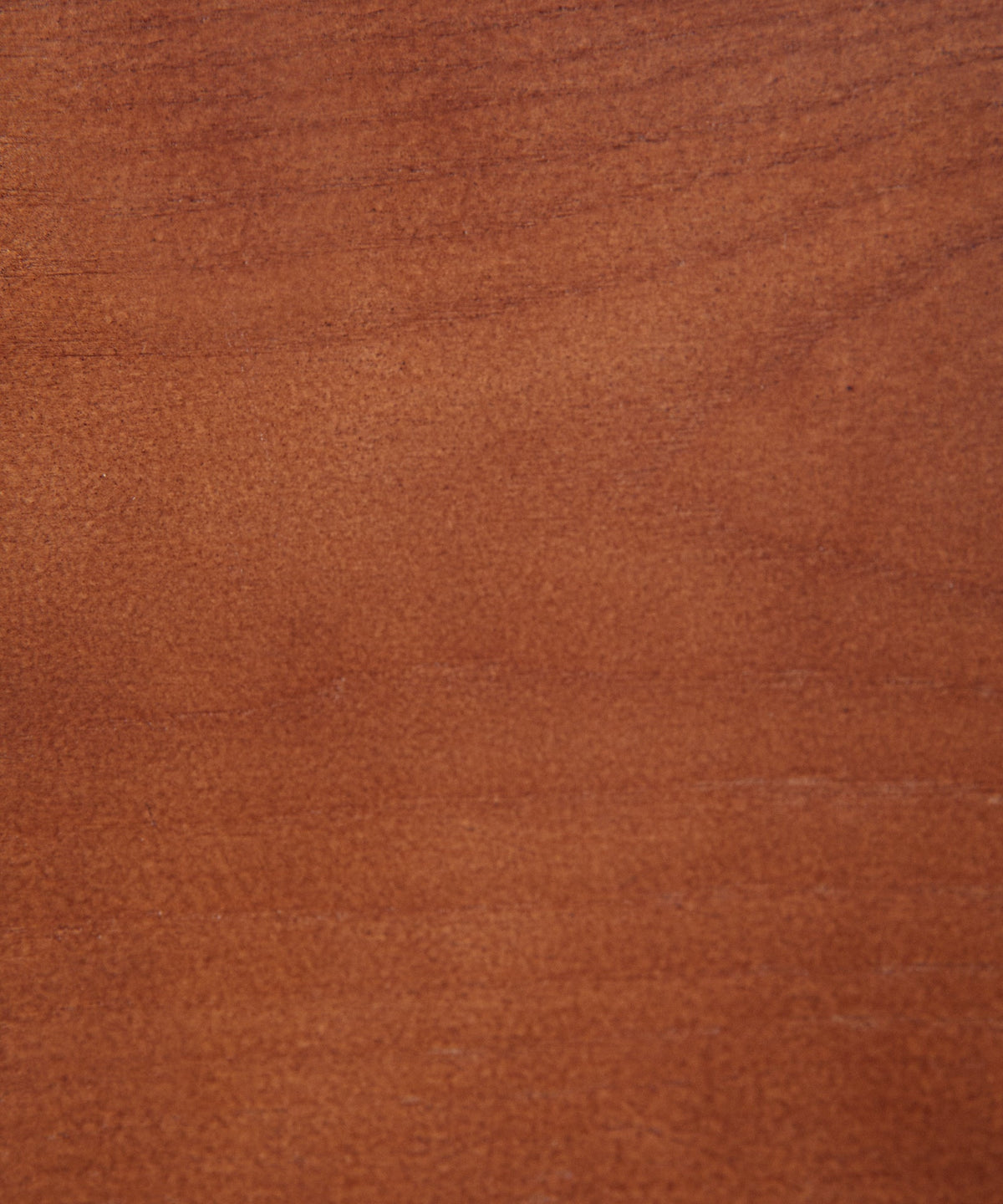 55651798876546 Silla de Comedor en Madera Tapizada Bianca Sillas Nórdicas Northdeco